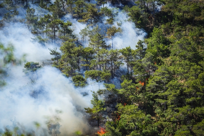 سورية.. السيطرة على معظم «حرائق اللاذقية»