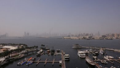 50 سفينة فرنسية عالقة في الخليج بسبب العدوان الإيراني